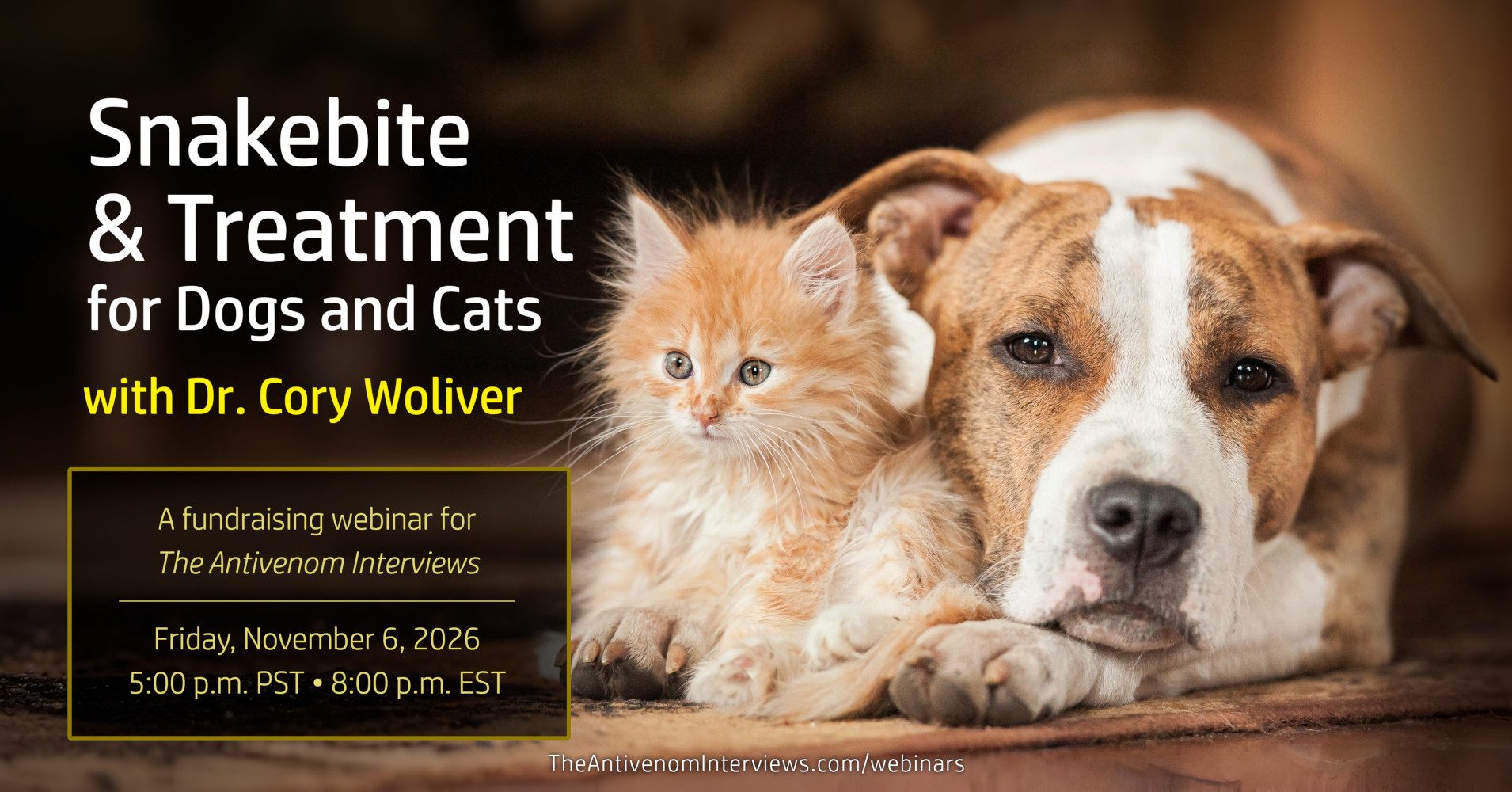 Snakebite and Treatment in Dogs and Cats with Dr. Cory Woliver